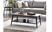 Findlay Coffee Table with Shelf - Walnut & Black